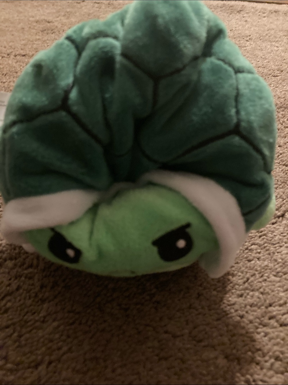 Teeturtle soft animal
